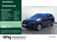 Skoda Karoq - Vorschau Bild 1