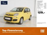 Fiat Panda 1.0 GSE Hybrid Pandina Icon - Fiat Panda Neuwagen mit Benzin-Antrieb
