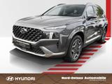 Hyundai SANTA FE 1.6 T-GDI SIGNA.PLUG-IN HUD SD KAMERA - graue Hyundai SANTA FE