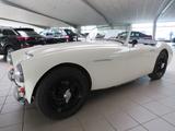 Austin Healey 100-6 (BN4) Roadster 6 Zylinder Classic Data 2+ - Austin Healey Gebrauchtwagen von 1959