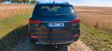 Ssangyong REXTON 2.2 Diesel e-XDi 220 Sapphire 4WD AT ... - gebrauchte Ssangyong REXTON aus dem Jahr 2023