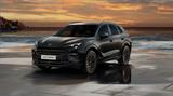 Cupra Terramar 2.0 TSI 195kW VZ DSG 4Drive mit AHK - Mit v gebraucht