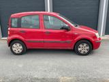 Fiat Panda - 8-fach * 1. Hand - Fiat Panda aus 2010