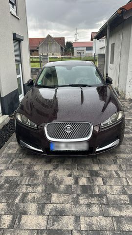 Jaguar XF - V6 - 3.0D ===> LAST-MINUTE