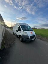 Fiat Ducato polnisches kennzeichen zulassung - Fiat Ducato in Halle