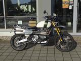 Triumph SCRAMBLER 1200 XE   *AKRAPOVIC & VIEL ZUBEHÖR!! - TRIUMPH GEBRAUCHT SCRAMBLER