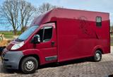 Citroën Pferdetransporter Citroen Jumper - gebrauchte Citroën Jumper aus dem Jahr 2011