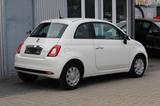 Fiat 500 Cult Hybrid+Klima+Tempomat+1.Hand - Fiat Gebrauchtwagen von 2021