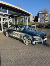 Audi S5 Cabrio 3.0 TFSI quattro NAVI KAMERA 20 Zoll - blaue Audi S5
