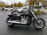 Harley-Davidson VRSCDX*VROD MUSCLE*ORIGINAL 10th YEARS EDITION