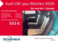 Audi SQ5 - Vorschau Bild 15