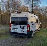 Roller Team Livingstone 2 Sport - Roller Team Kastenwagen