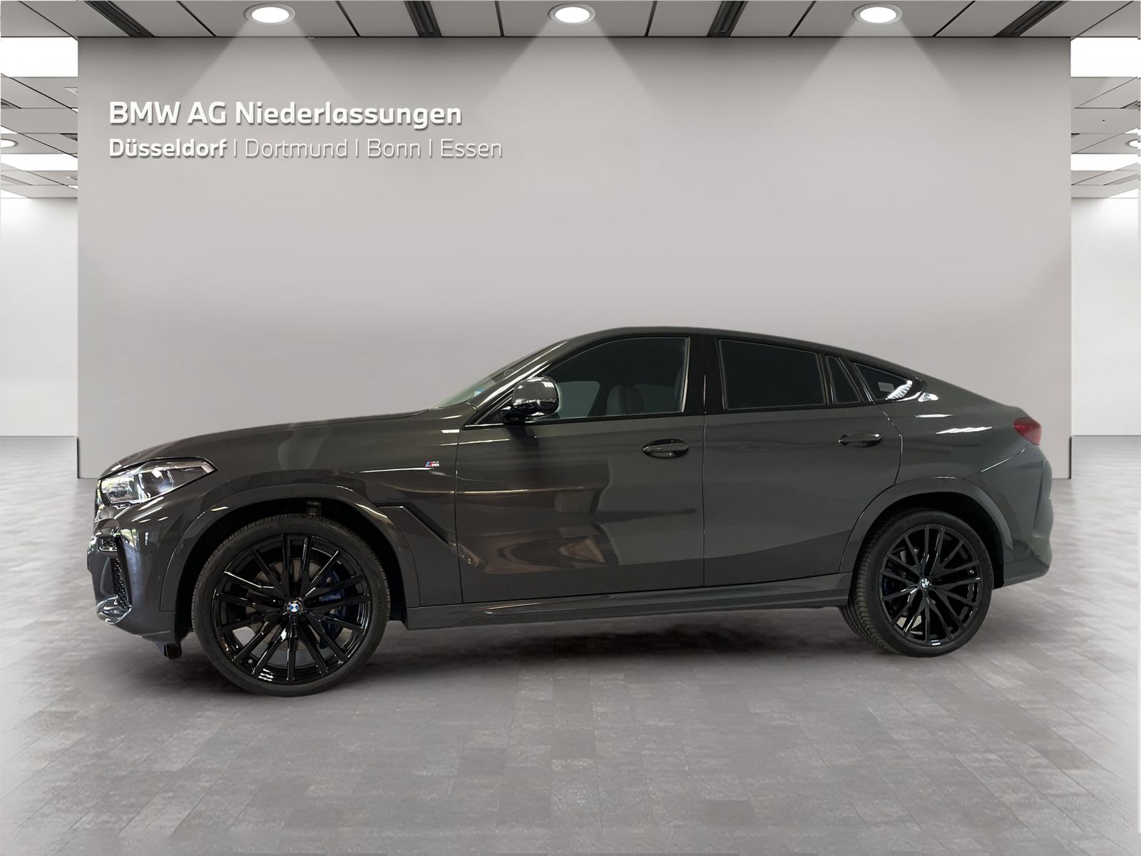 BMW X6 xDrive40i M Sport Driv.Assist.Prof Head-Up foto 3