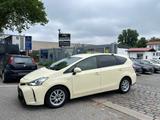 Toyota Prius+ 7 Sitzer Taxameter + Dachschild Einsatz B - mit Hybrid-Antrieb: Taxi, Kleinbus