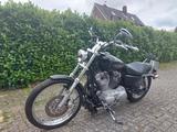 Harley-Davidson Sportster 883 Custom - Offers matching your search criteria