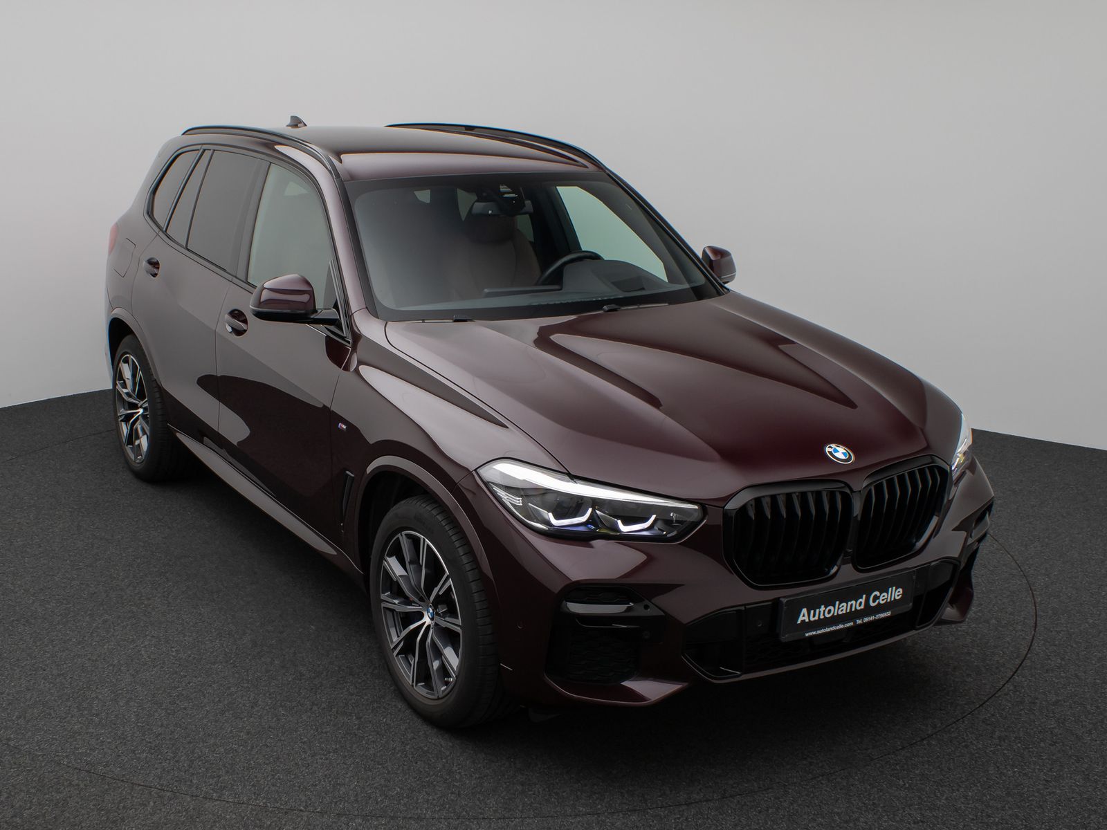 Fahrzeugabbildung BMW X5 xD30d M Sport Kamera HUD DAB HiFi AHK Alarm