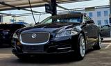 Jaguar XJ 3.0 D V6 Luxury  * Panorama Dach * - Jaguar XJ mit Diesel-Antrieb: 3.0