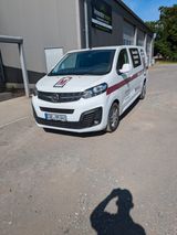 Opel Vivaro Doppelkabine Edition L  - Opel: Firmenfahrzeug