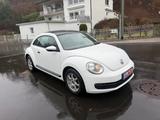 Volkswagen Beetle 1,2 TSI/Pano/Tüv Au Neu ! - Volkswagen Beetle mit Panoramadach