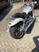 Harley-Davidson V - ROD  100 Jahre HD Edition 240er Hinterrad    - HARLEY-DAVIDSON 2003 V ROD