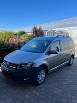Volkswagen Caddy Maxi mit Camperausbau - : Kombi, Camper