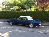 Pontiac Firebird - Pontiac Firebird von privat