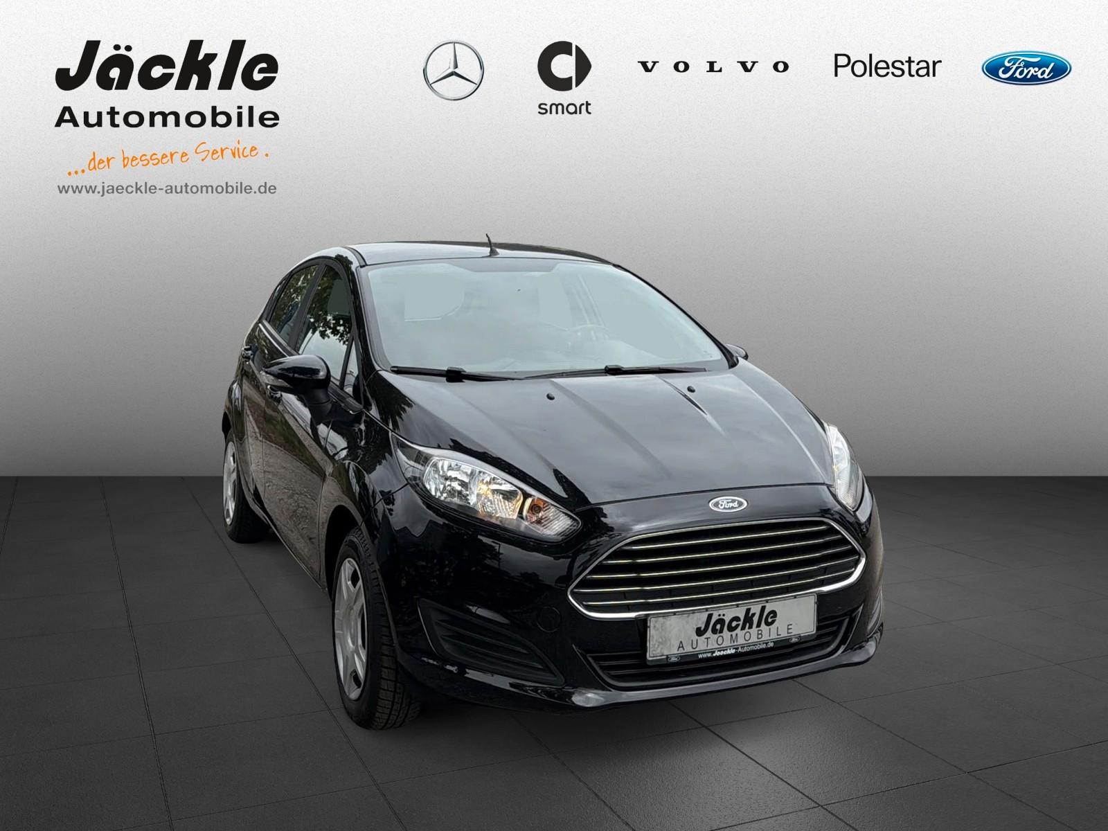 Ford Fiesta Sync Edition, WINTER-PAKET