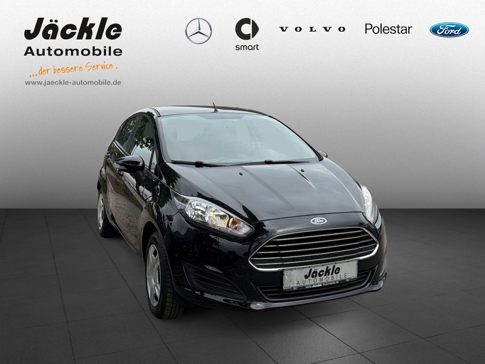 Fahrzeugabbildung Ford Fiesta Sync Edition, WINTER-PAKET
