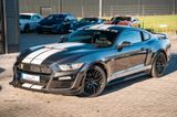 Ford Mustang 3,7 LPG BRC GT 350 RTR KAMERA TOP - Ford Mustang mit LPG-Antrieb