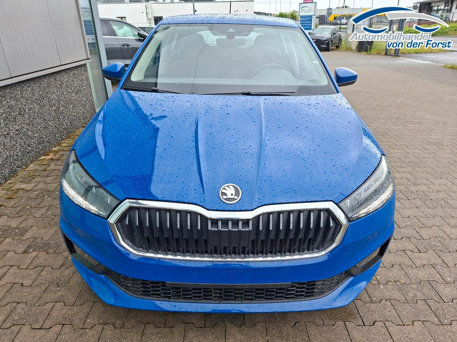 Skoda "EXTRA" (2) LIEFERUNG KOSTENLOS & PREISGARANT...