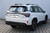 Subaru Forester 2.0ie AWD Trend Lineartronic - Subaru Forester: Trend