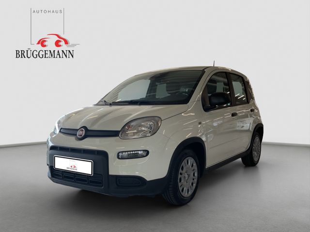 Fiat Panda Hybrid 1.0 GSE