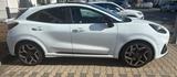 Ford Puma 1,5 l EcoBoost ST Panorama Dach B&O - Ford Puma Gebrauchtwagen in Köln