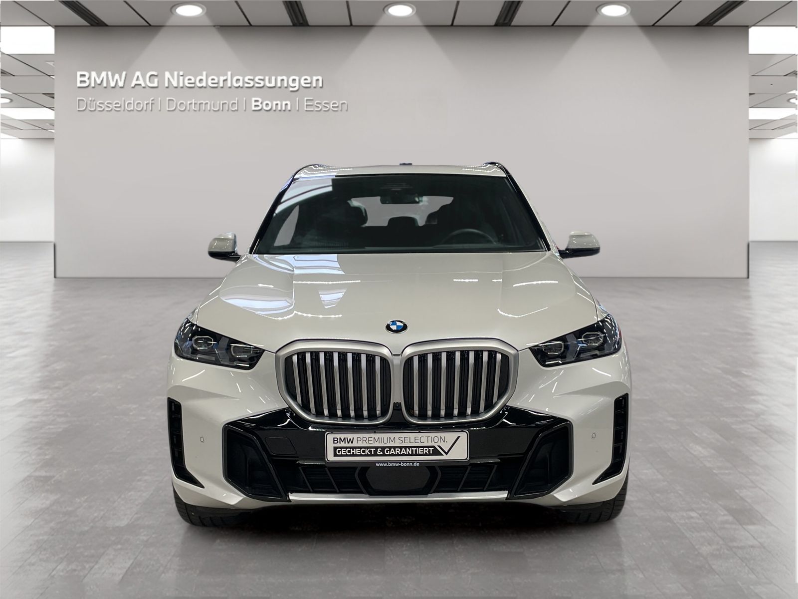 BMW X5 - Bild 8