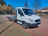 Mercedes-Benz Sprinter 313 CDI*Autotransporter*AHK 2,0t* - gebrauchte Mercedes-Benz Sprinter aus dem Jahr 2010