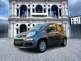 Fiat Panda Easy 1.2 *TÜV neu*Allwetterreifen*Klima* - gebrauchte Fiat Panda aus dem Jahr 2017