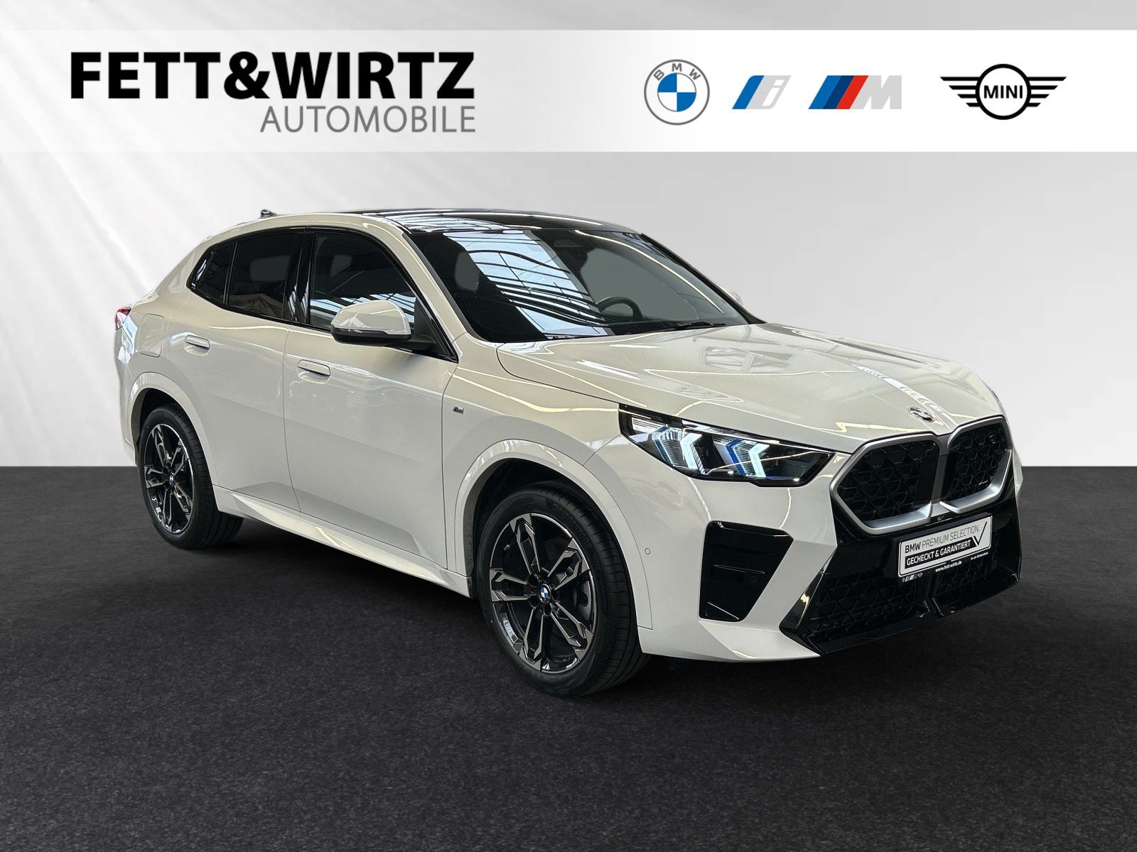 BMW X2 sDrive20i Inkl. € 1.190 Zubehörbonus*M Sport|