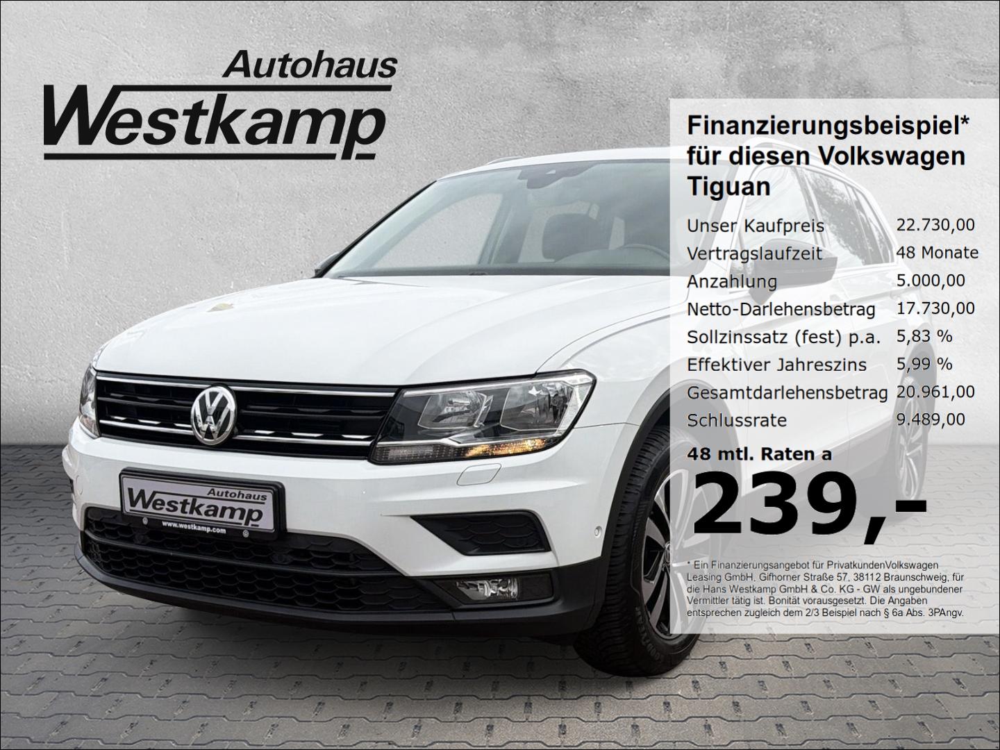 Volkswagen Tiguan IQ-Drive 2.0 TSI DSG 4Motion Ganzj.Reifen