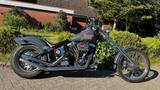 Harley-Davidson FXST Softtail Custom - Harley-Davidson Motorräder in Lübeck