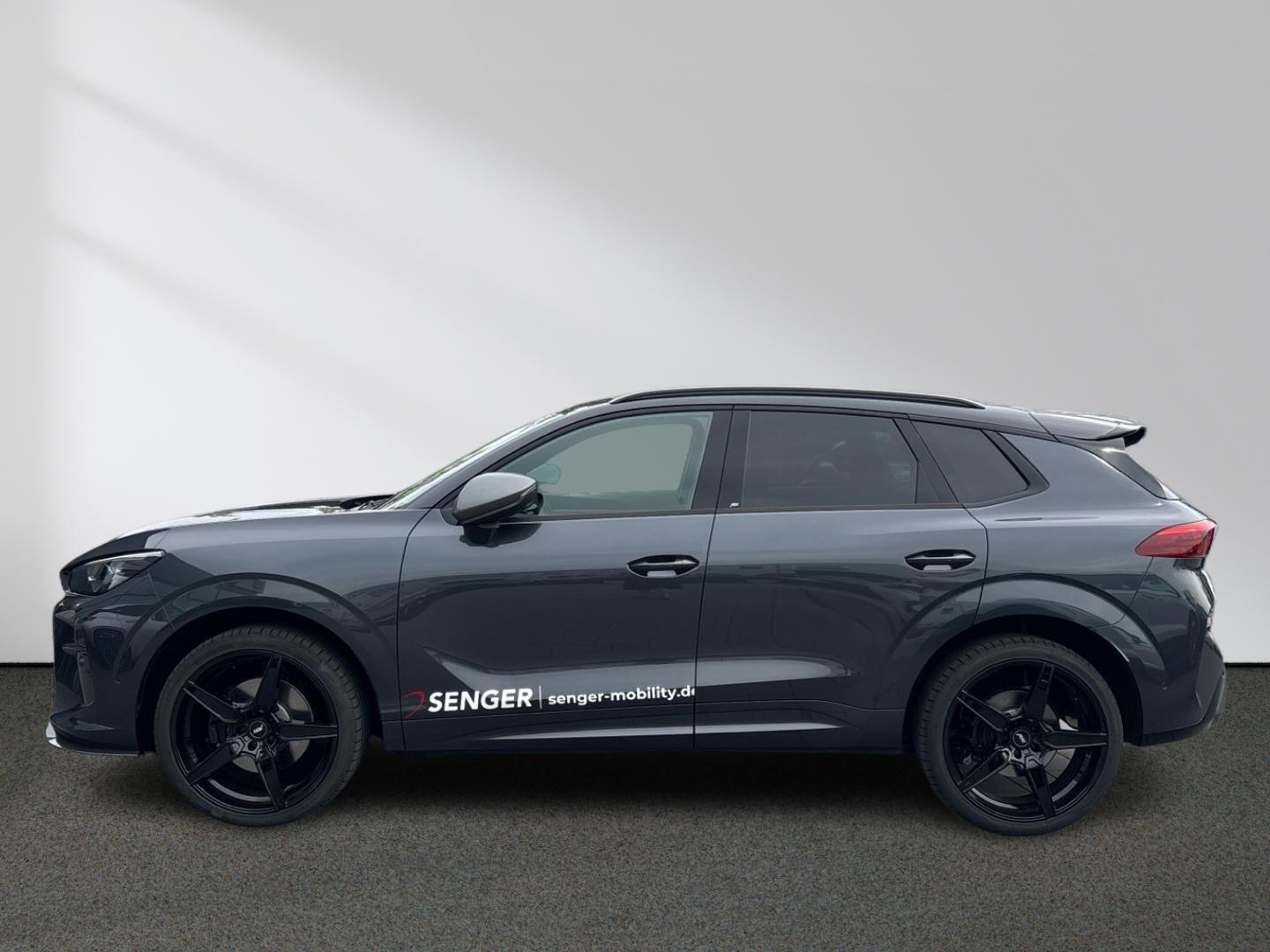 Cupra Terramar VZ 2.0 TSI 4D DSG AHK ABT Paket 325PS