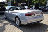 Audi A5 Cabriolet 40 TDI sport S Line LED Windschott - Audi A5: Cabrio, Line