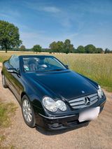 Mercedes-Benz Mercedes Benz Cabriolet CLK 200 Kompressor - Mercedes-Benz CLK-Class in Bremen