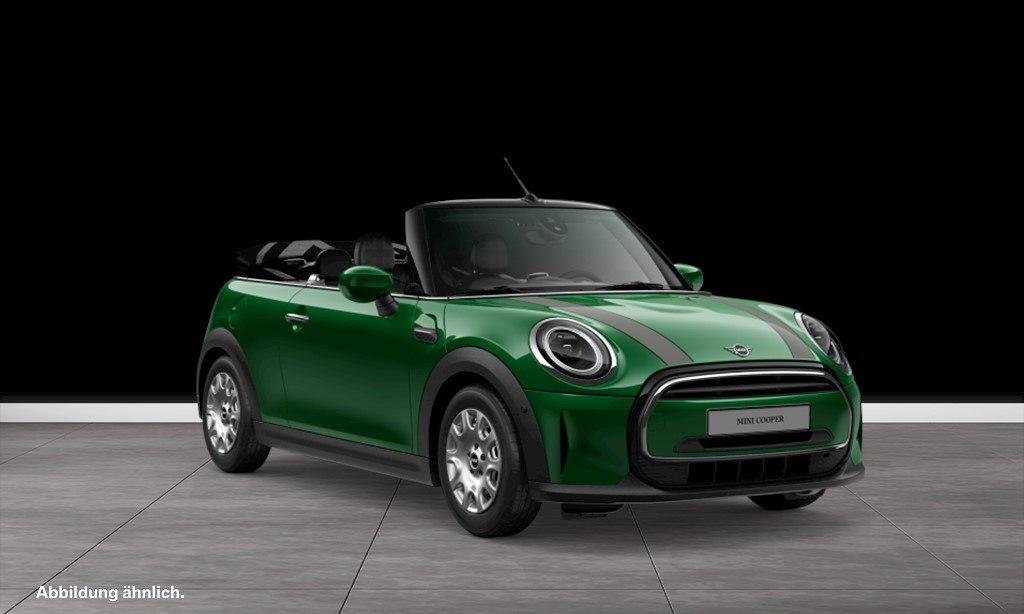 MINI Cooper Cabrio Navi Head-Up Kamera Driv.Assist