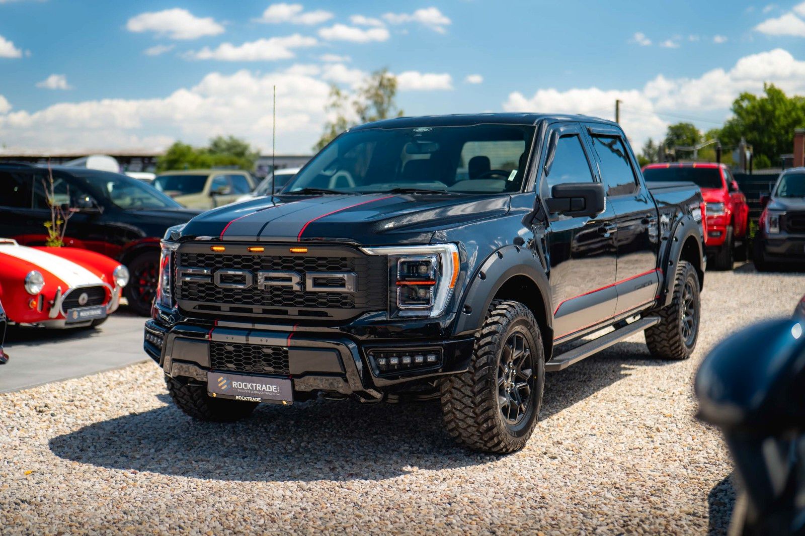 Fahrzeugabbildung Ford F150 5.0L V8 4x4 Offroad SuperCrew RAPTOR 19%
