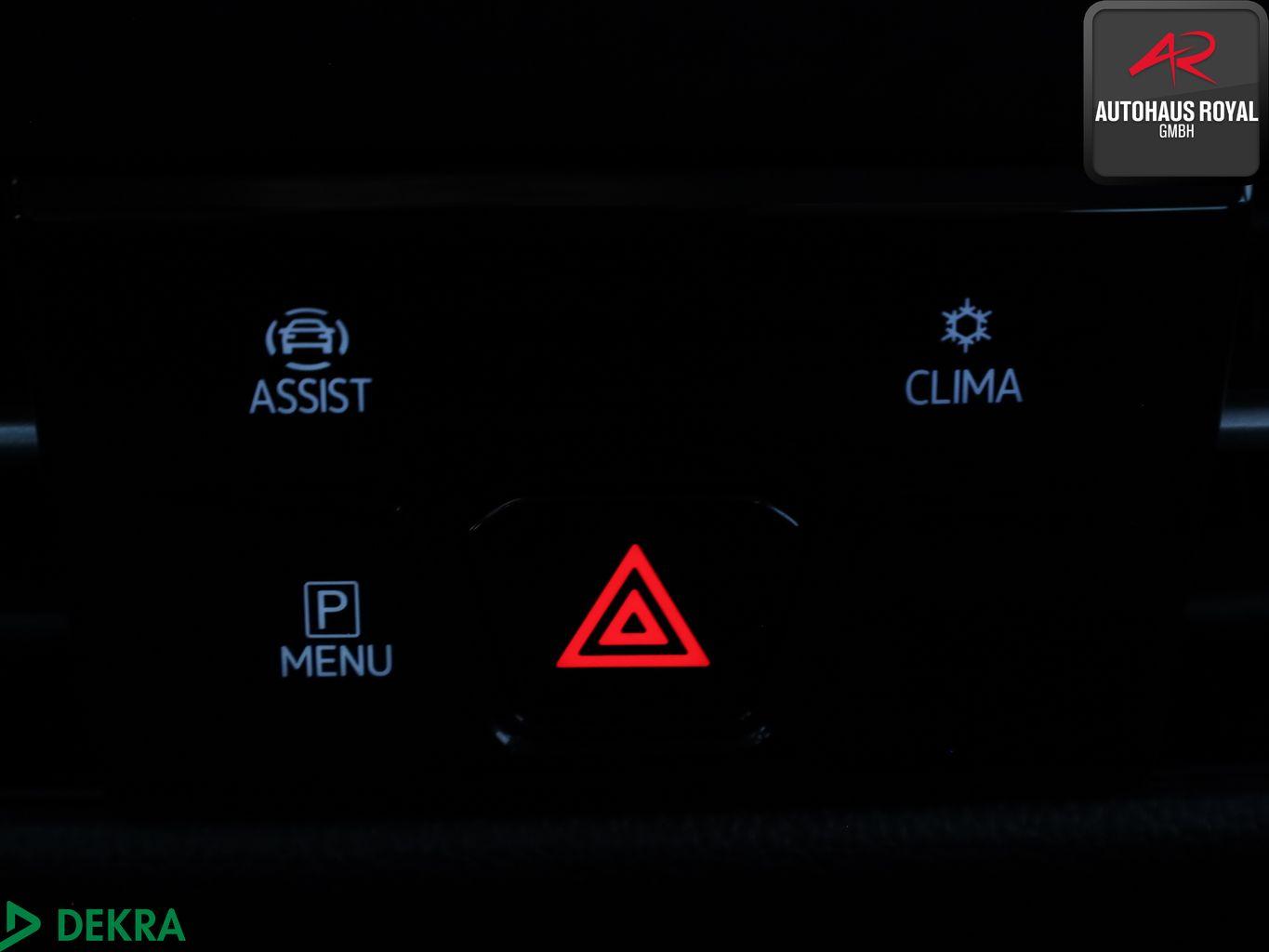 Volkswagen Golf VIII 2.0 TSI STYLE MASSAGE,ACC,MEMORY,1.HD, миниатюра 19