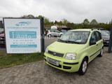 Fiat Panda 1.2 8V Dynamic - Fiat aus 2003