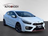 Kia ProCeed GT-Cup 1.6 T-GDi Ambientebeleuchtung Tem - Kia: Sportwagen