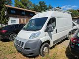 Fiat Ducato L2H2 130 Transporter AHK Klima... - Fiat: Transporter