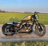 Harley-Davidson Iron 883 - Olive Gold - Top Zustand - 1. Hand  - HARLEY-DAVIDSON IRON