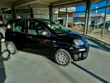 Fiat Panda Pandina HYBRID GSE - Fiat New Panda Gebrauchtwagen